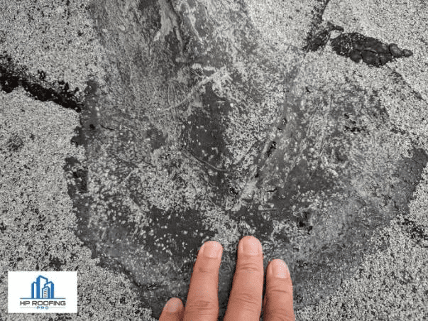 Protecting and Preserving — HP Roofing Pro