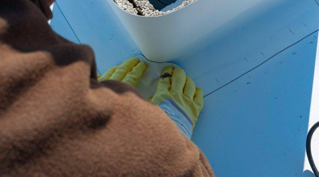 TPO membrane on a commercial flat roof